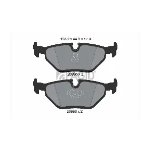 T1027 PAGID