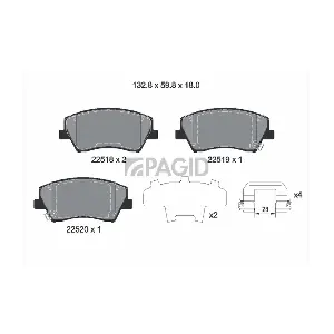 T2667 PAGID