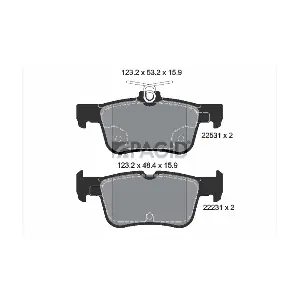 T4181 PAGID