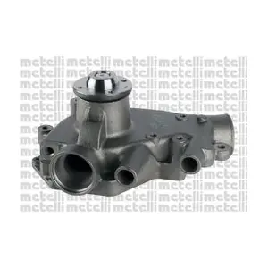 24-1317 METELLI