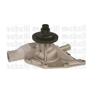 24-0565 METELLI
