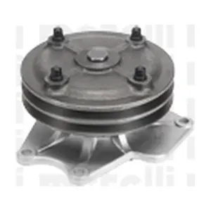 24-1016 METELLI