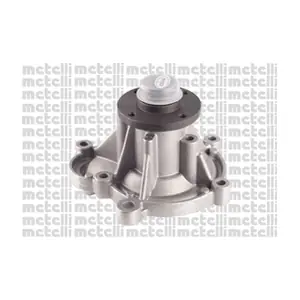 24-1109 METELLI