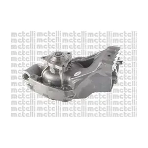 24-0750 METELLI