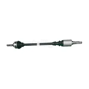 17-0495 METELLI