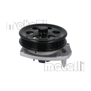 24-1447 METELLI