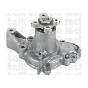 24-0877 METELLI