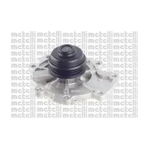 24-0956 METELLI