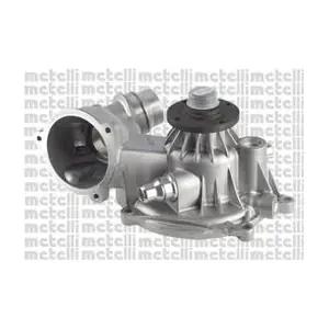 24-1129 METELLI