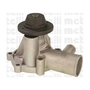 24-0413 METELLI