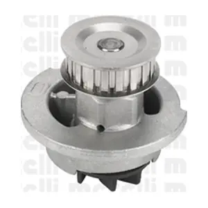 24-0441 METELLI