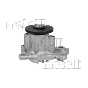 24-1393 METELLI