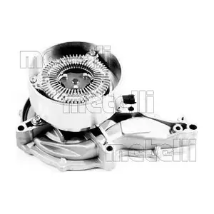 241384 METELLI