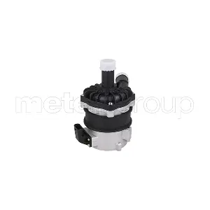 25-0113 METELLI