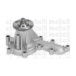 24-0923 METELLI