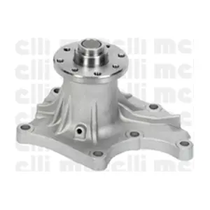 240809 METELLI