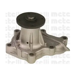 24-0602 METELLI