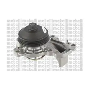 24-1239 METELLI