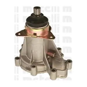 24-0446 METELLI