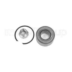 19-2560 METELLI