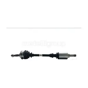 17-0494 METELLI