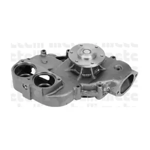 24-0874 METELLI