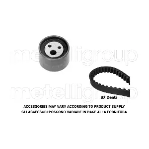 29-0009 METELLI