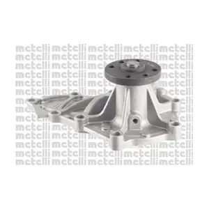 24-1099 METELLI