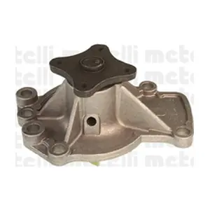 24-0508 METELLI
