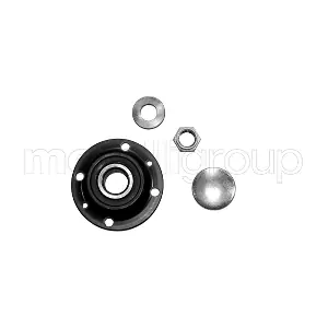 19-2974 METELLI