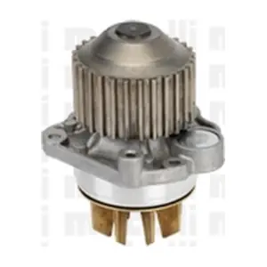 24-0960 METELLI