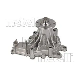 24-1080 METELLI