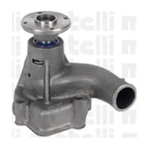 24-0781 METELLI