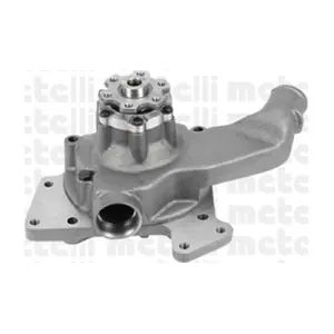 24-0871 METELLI