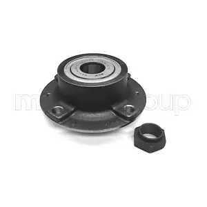 19-2668 METELLI