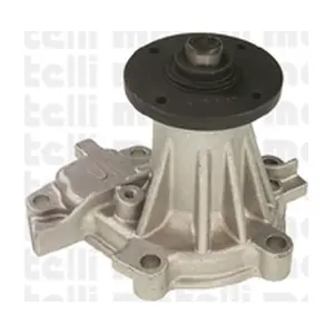 24-0556 METELLI