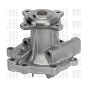 24-1017 METELLI