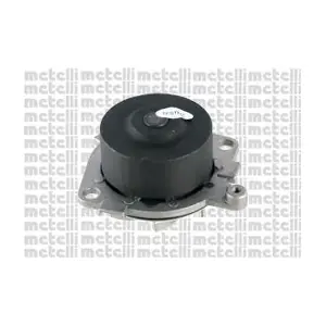24-0621 METELLI