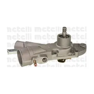 24-0189 METELLI
