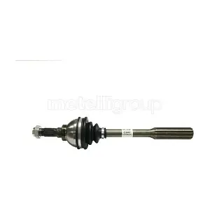 17-0077 METELLI