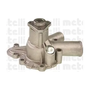 24-0345 METELLI