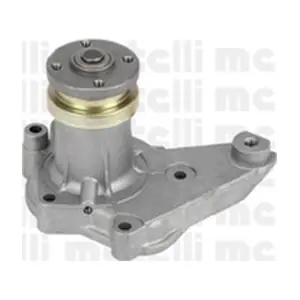 24-0774 METELLI
