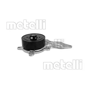 24-1365 METELLI