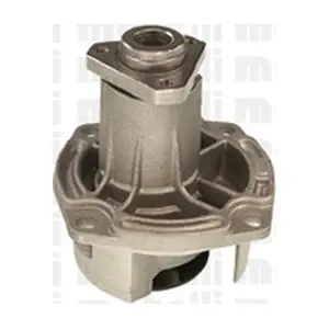 24-0098 METELLI