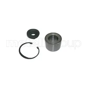 19-2698 METELLI