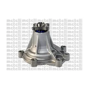 24-1055 METELLI