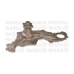 24-0083 METELLI