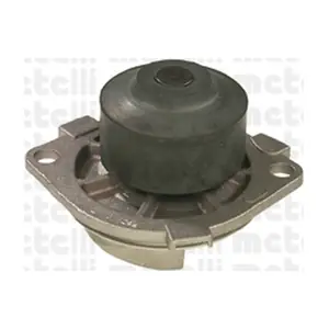 24-0690 METELLI