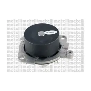 24-0631 METELLI