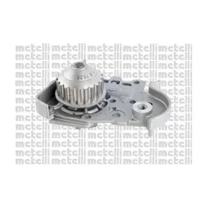 24-1035 METELLI